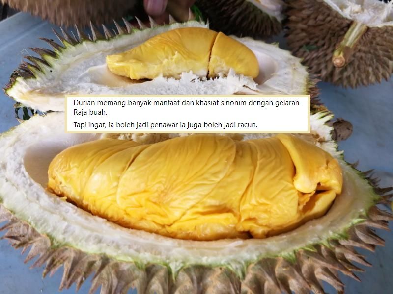 Awas Hantu Durian Jangan Ingat Sedap Saja Silap Hari Bulan Jadi Racun Paling Mudarat Yang Beli Banyak Poket Kalian Makin Menipis Viral Mstar