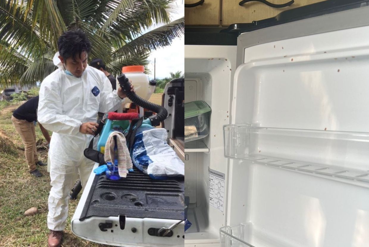 Gelinya tengok peti sejuk penuh berengga! Abang ‘pest control’ kongsi