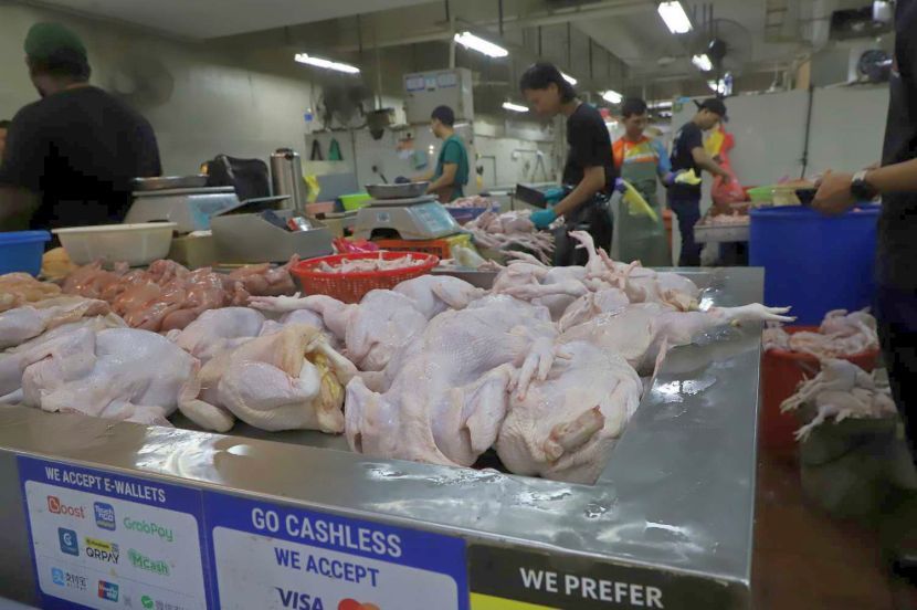 Pastikan warna kulit ayam masih cerah dan isi kekal pejal.