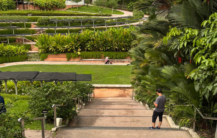 Lakukan brisk walk atau jogging di taman untuk menyihatkan tubuh badan.