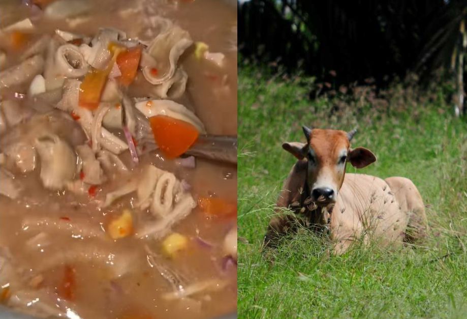 Perut lembu cicah air asam menjadi menu kegemaran ramai.