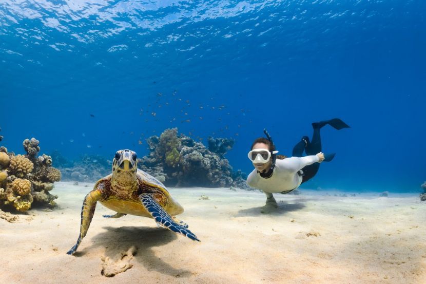 Aktiviti menyelam dan snorkeling menjadi tarikan di Laut Merah.