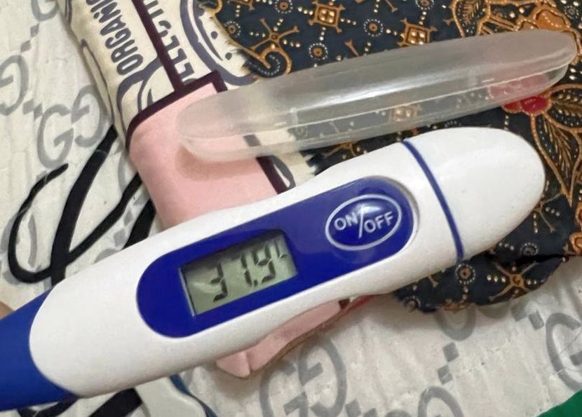 Termometer adalah alatan penting bagi memantau suhu badan pada anak yang mengalami demam panas.