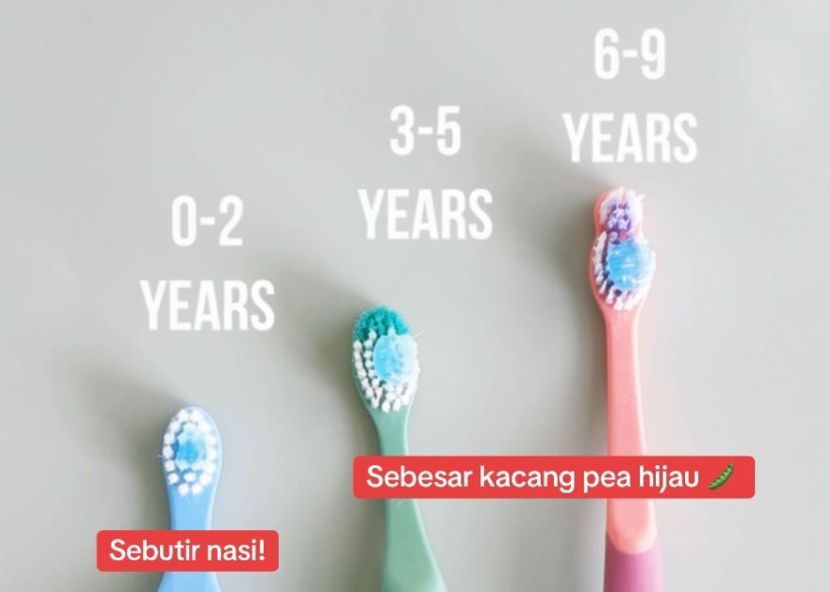 Saiz ubat gigi mengikut umur kanak-kanak. -Foto Dr Alyssa Azlan