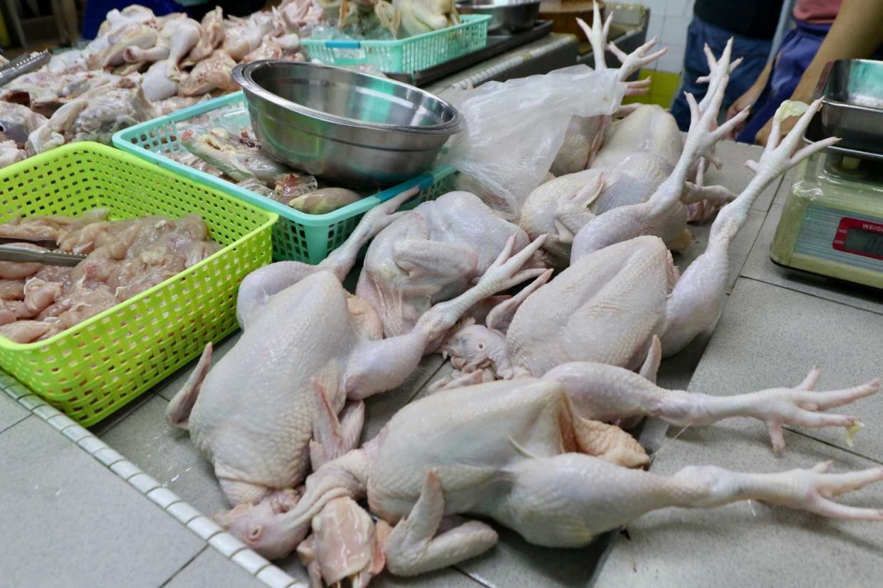 Story on chicken and eggs will no longer be controlled goods, prices to be determined by market demand. Increase in sugar tax from 40 sen to 50 sen per litre. — FAIHAN GHANI/The Star