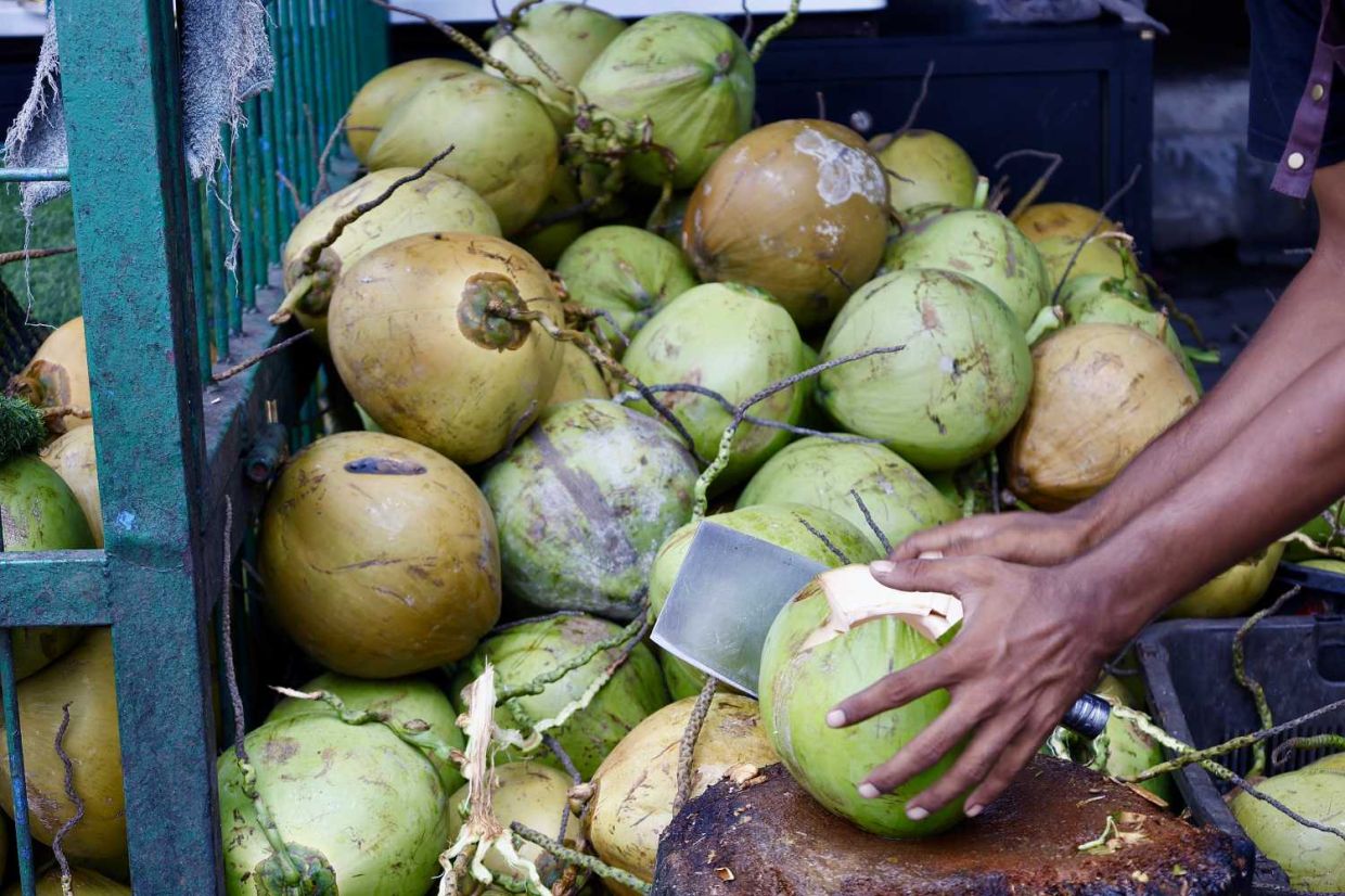 Coconut seller cutting the coconut before serve to the customers at Batu Caves, Kuala Lumpur.— FAIHAN GHANI/The Star