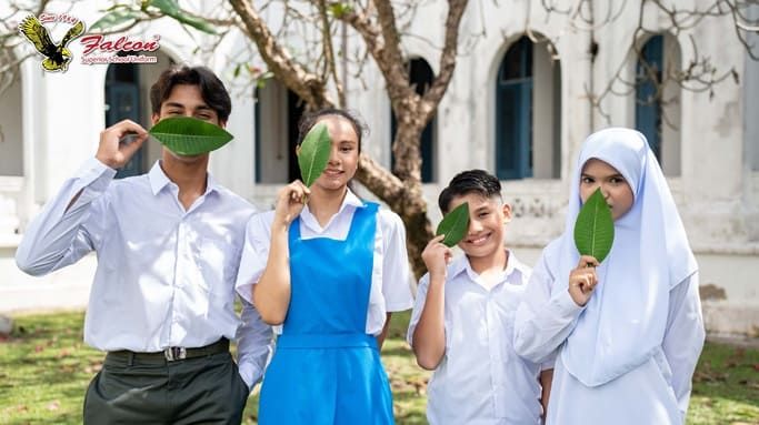 Walaupun material kelas premium, Falcon mengekalkan hargaberpatutan.