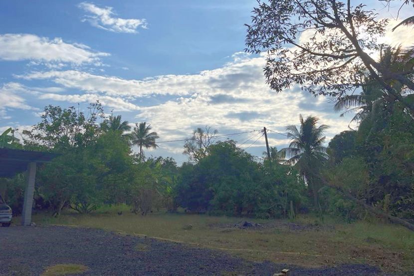 Tanah pusaka sering menjadi punca perbalahan ahli keluarga. -Gambar hiasan