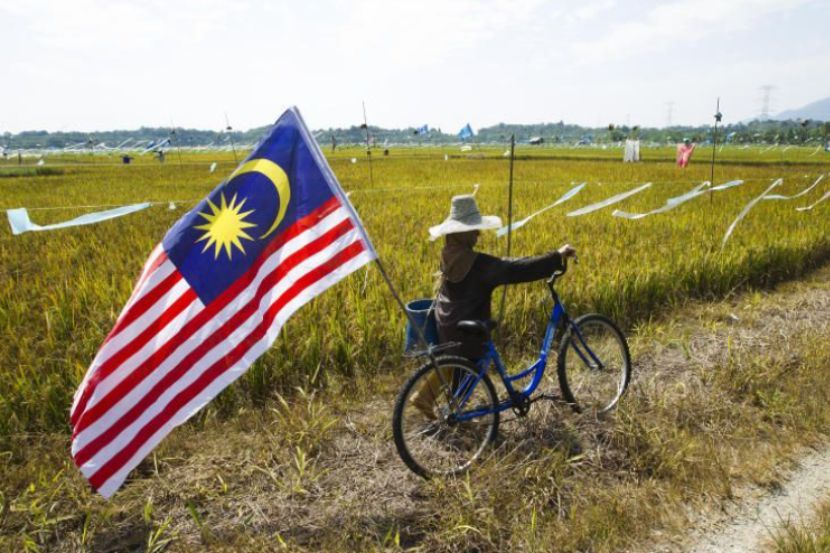 Projek Tanaman Padi Lima Musim Dalam Dua Tahun di kawasan Mada terus diberi keutamaan.